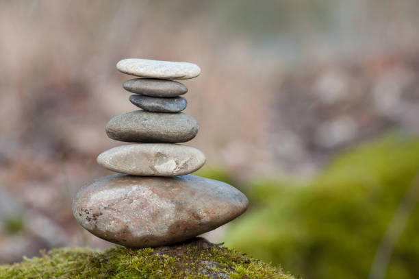 istock stone balance on rock covered by moss in the forest 1127404434