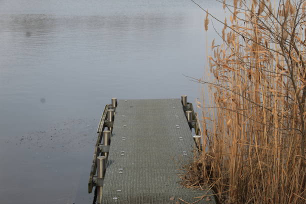Winter on the German river in Lower Saxony