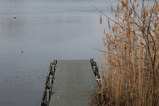 istock Winter on the German river in Lower Saxony 1127405813
