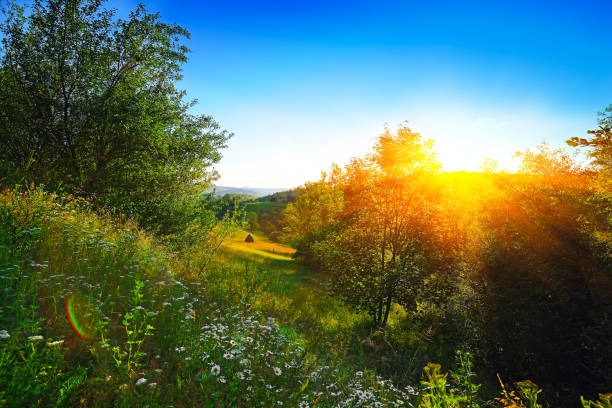 istock romanian village Rogojel of Cluj County 1127408729