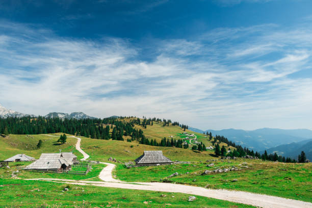 istock Velika planina, Slovenija 1127414414