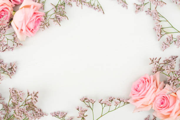 Fresh Rose Flowers Stock Photo - Download Image Now - Backgrounds, Rose - Flower, Flower - iStock Fresh Rose Flowers Stock Photo - Download Image Now - Backgrounds, Rose - Flower, Flower - iStock