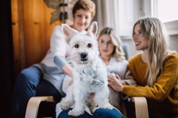 istock Big Happy Family 1127420885
