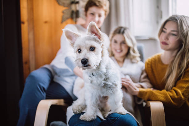 istock Big Happy Family 1127421937