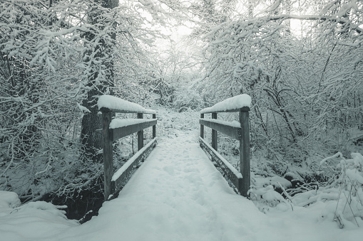 snow covered wooden bridge with foot steps in front of forest in the winter season