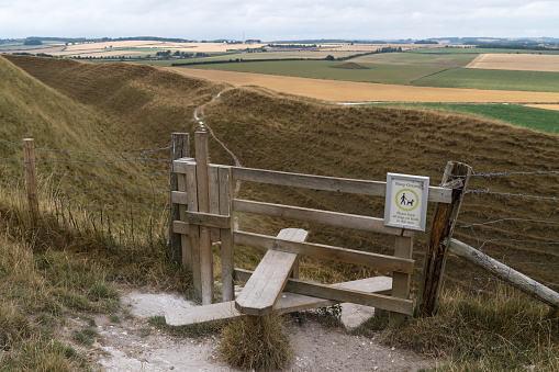 Typical english country stile with dog gate leading to meadow in the countryside Maiden Castle Dorset Dorchester United Kingdom