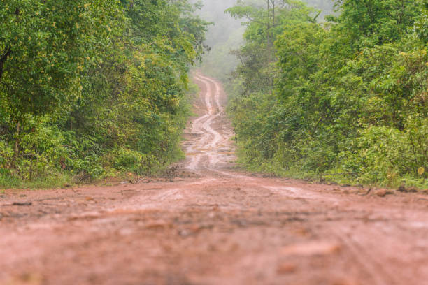 estrada rural suja com poças e lama no interior da tailândia - mud car wet horizontal - fotografias e filmes do acervo