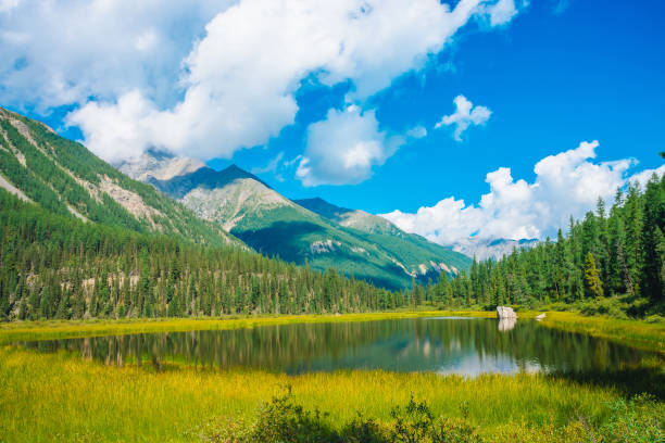 istock Beautiful mountain lake before giant mountains under blue sky with white clouds. Forest edge on slope. Amazing water in sunny day. Wonderful mountainscape. Colorful scenic landscape. Highland scenery. 1127432583