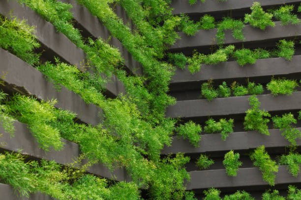 Vertical garden with young plants growing Vertical garden with young plants growing. Sustainable development concept. aquaponics photos stock pictures, royalty-free photos & images