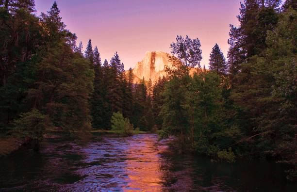 270+ Mariposa Sea All Stock Photos, Pictures & RoyaltyFree Images iStock