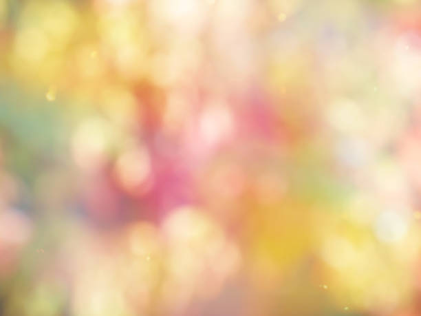 Leaf bokeh in the forest, missed focus Shoot outdoors 밝은 빛 stock pictures, royalty-free photos & images