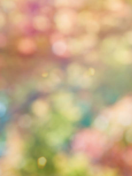 istock Leaf bokeh in the forest, missed focus 1127436526