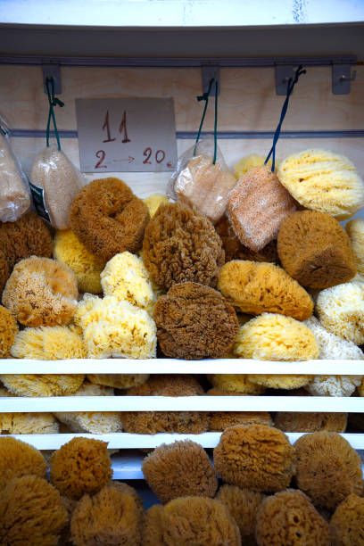 Close-up of a pair of wet sponges for washing dishes with soap sud.