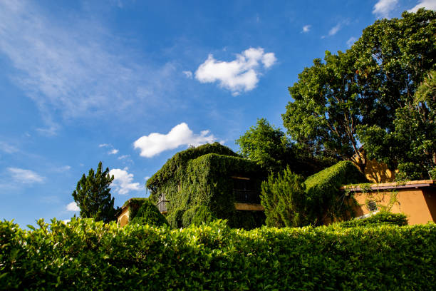 istock Beautiful old house with tree walls 1127441719
