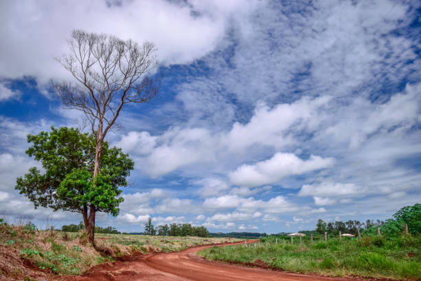 istock Beautiful Rural Landscape, with Cloudy Sky 1127443409