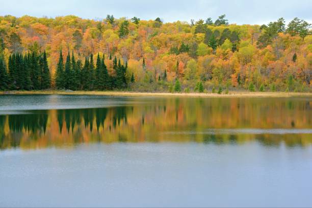 istock Autumn Splendor At Josephine Lake - Itasca State Park, MN 1127444402