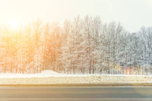 istock the winter forest near the road, during daylight hours 1127449456