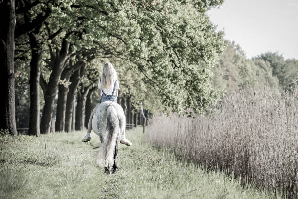 Meisje met lang blond haar op pony op natuurpad langs oude eikenbomen