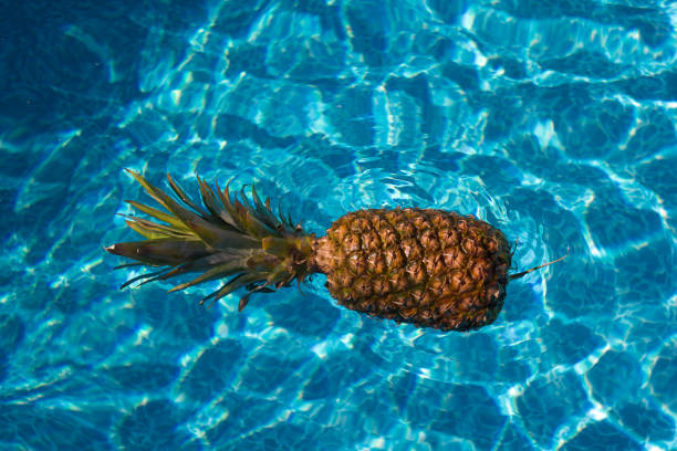 istock Pineapple floating in an outdoor swimming pool 1127453813