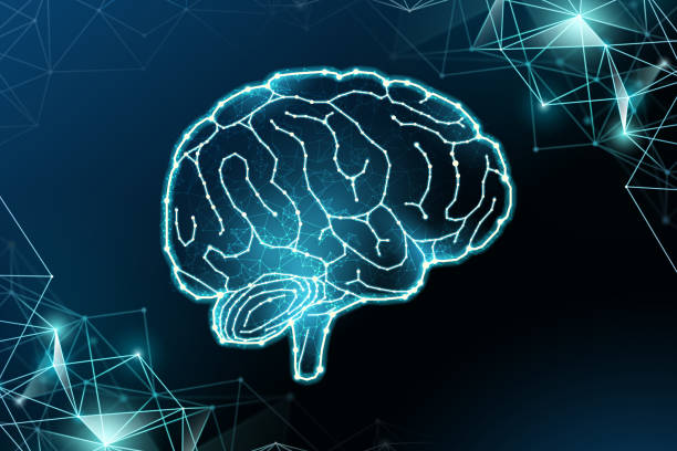 istock The Creation of AI, group of edge and mesh to brain 1127454202