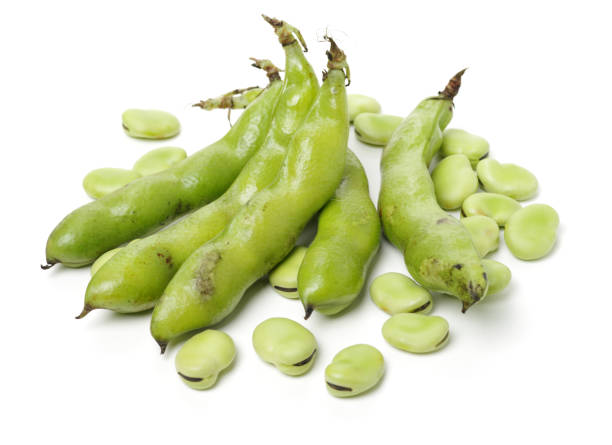 istock Green bean that is separated on white background 1127455502