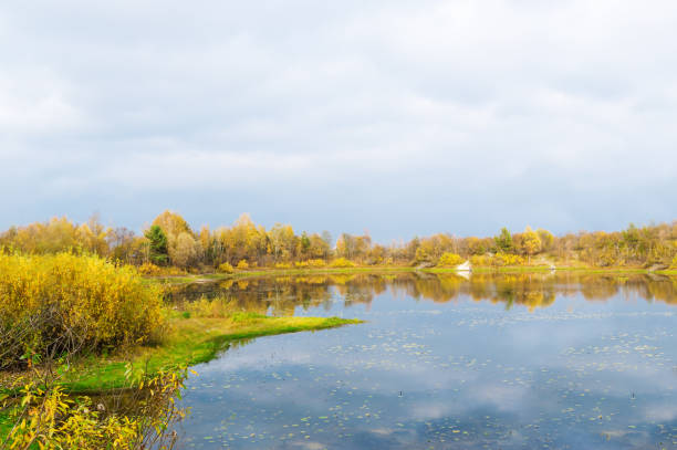 istock Idyllic autumn lake scenery with bright trees and bushes 1127455726