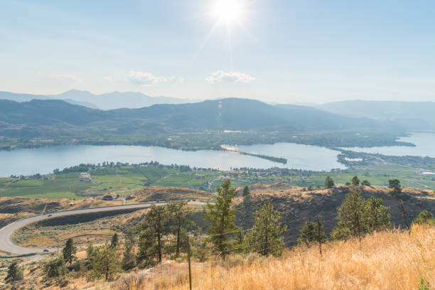 widok z góry osoyoos i jezioro osoyoos w lecie - okanagan vineyard canada orchard zdjęcia i obrazy z banku zdjęć