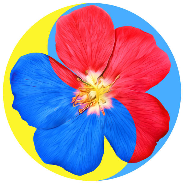 Floral Yin Yang symbol. Geometric Yin Yang symbol drawing made by plants on colored background in oriental style. Yin Yang symbol from flowers, petals and leaves. Geometric mandala picture.
