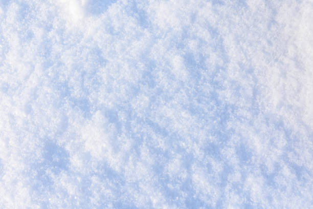 istock Texture of the white fluffy snow for background 1127462733