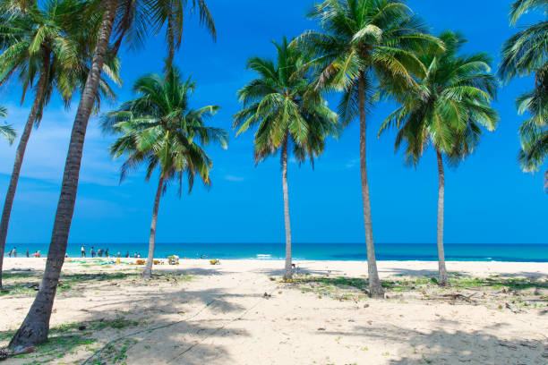 istock Beautiful sky and blue sea 1127464897