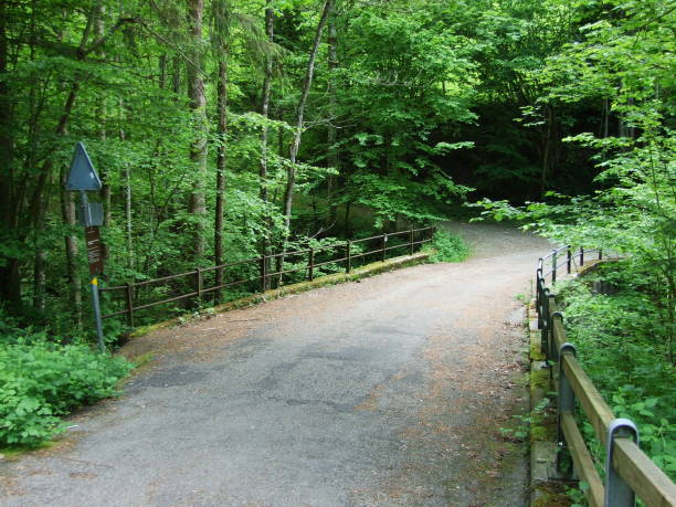 istock Asphalted road through the forest in St. Gallen 1127467603