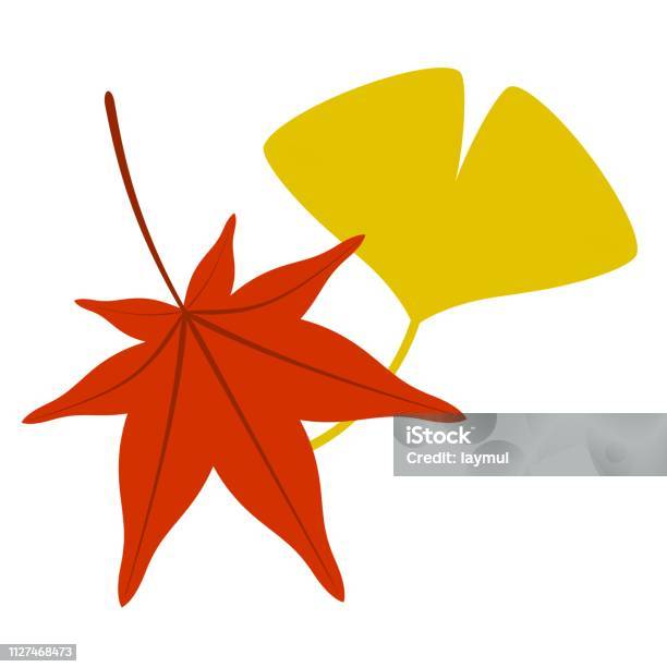 단풍나무와 은행나무는 잎 0명에 대한 스톡 벡터 아트 및 기타 이미지 - 0명, 가을, 가을 단풍 - Istock