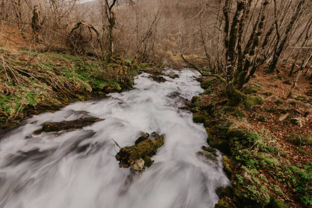 istock The Ravnjak river, Montenegro - Image 1127470530