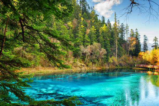 istock The Five Coloured Pool with azure water among woods 1127471413