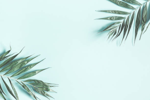 istock Tropical palm leaves on pastel mint background. Summer concept. Flat lay, top view, copy space 1127472503