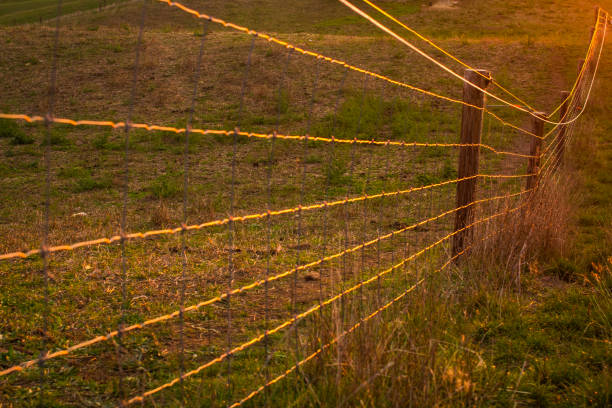 Farm fencing to keep the cattle in the paddock stock photo