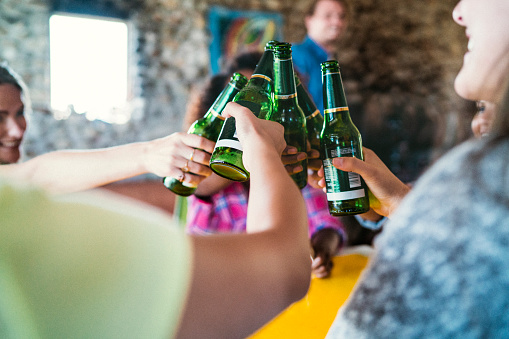 A photo of diverse friends toasting beer bottles. Group of men and woman at house party. They are enjoying social gathering at home.