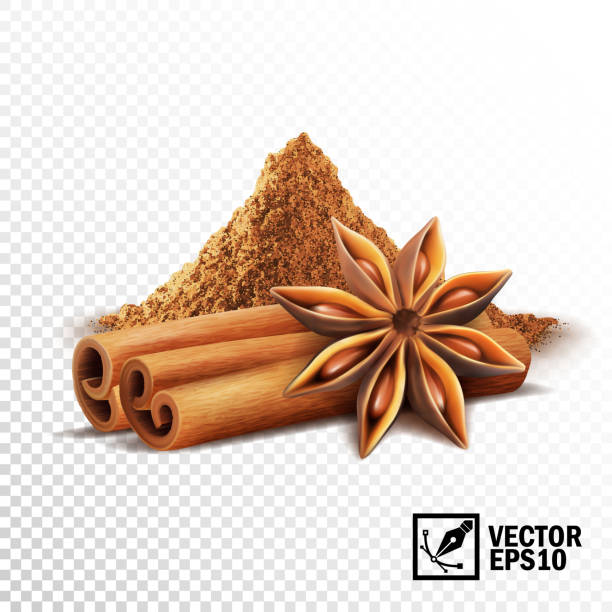 계 피, 아니 스 별과 계 피 더미의 3d 현실적인 벡터 세트 - cinnamon spice stick ground stock illustrations