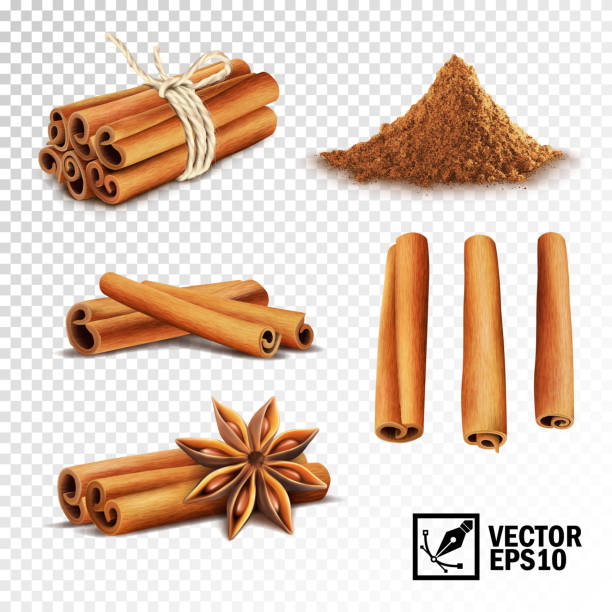 ilustraciones, imágenes clip art, dibujos animados e iconos de stock de conjunto de vector realista 3d de canela (canela atada con una cuerda, las estrellas de anís y un montón de canela) - ground cinnamon