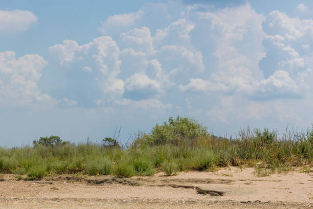 istock Storm clouds over a deserted sand sea shore 1127479945