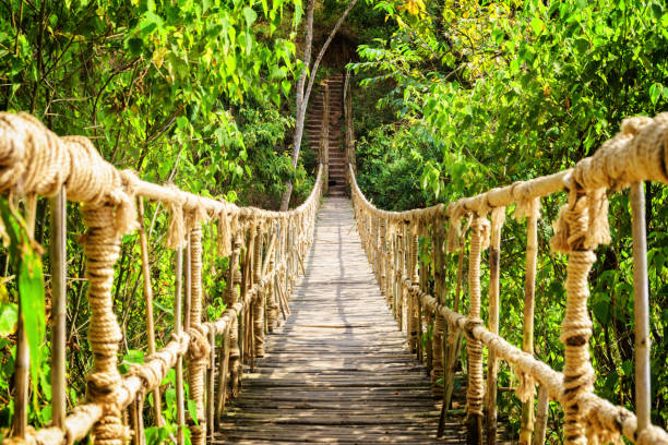 istock Amazing simple suspension bridge over gorge 1127483505