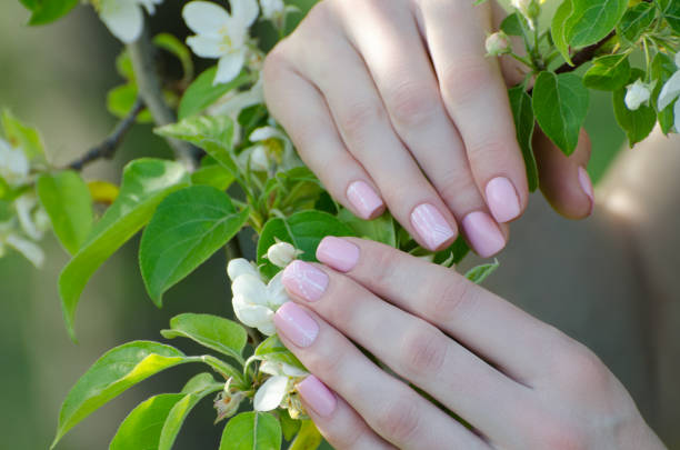 istock Female hands with apple tree flowers, manicure. Close-up 1127483554