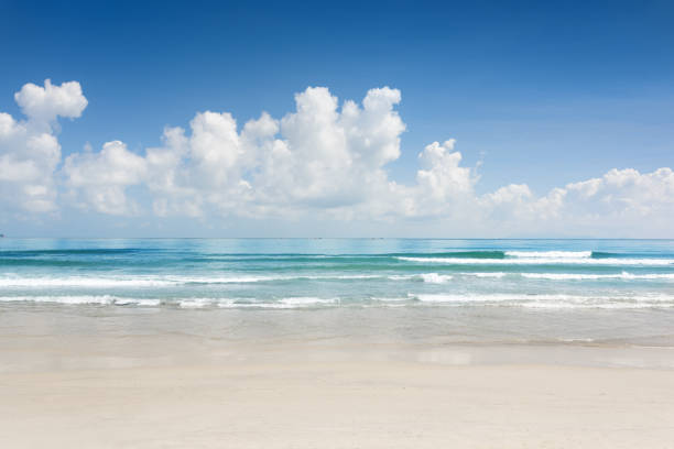 istock Scenic blue ocean and tropical white sand beach 1127484583