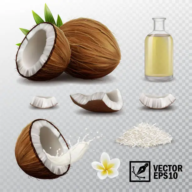 Vector illustration of 3d realistic vector set of elements (whole coconut, half coconut, coconut chips, splash coconut milk or oil, coconut chips, coconut flower, oil bottle)