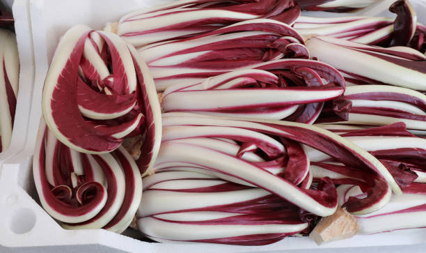 istock red chicory also known as a late radicchio typical of the Veneto 1127487720