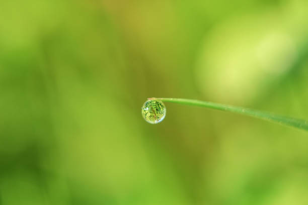 Water Droplets view in close up for Nature and Macro Photography