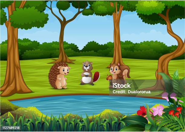 Ilustración de Animales De Dibujos Animados Con Fondo De Hermoso Parque y  más Vectores Libres de Derechos de Agua - iStock