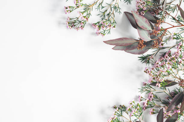 istock Flowers composition. Eucalyptus leaves and pink flowers on pastel gary background. Flat lay, top view, copy space 1127489679