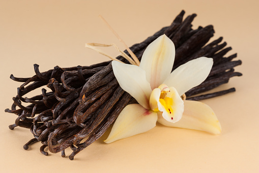 pack of vanilla beans with flower on beige background, studio shot