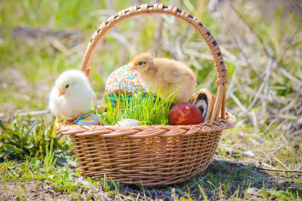 semana santa. decoraciones de pascua en una cesta. primavera. enfoque selectivo. - picnic basket christianity holiday easter fotografías e imágenes de stock